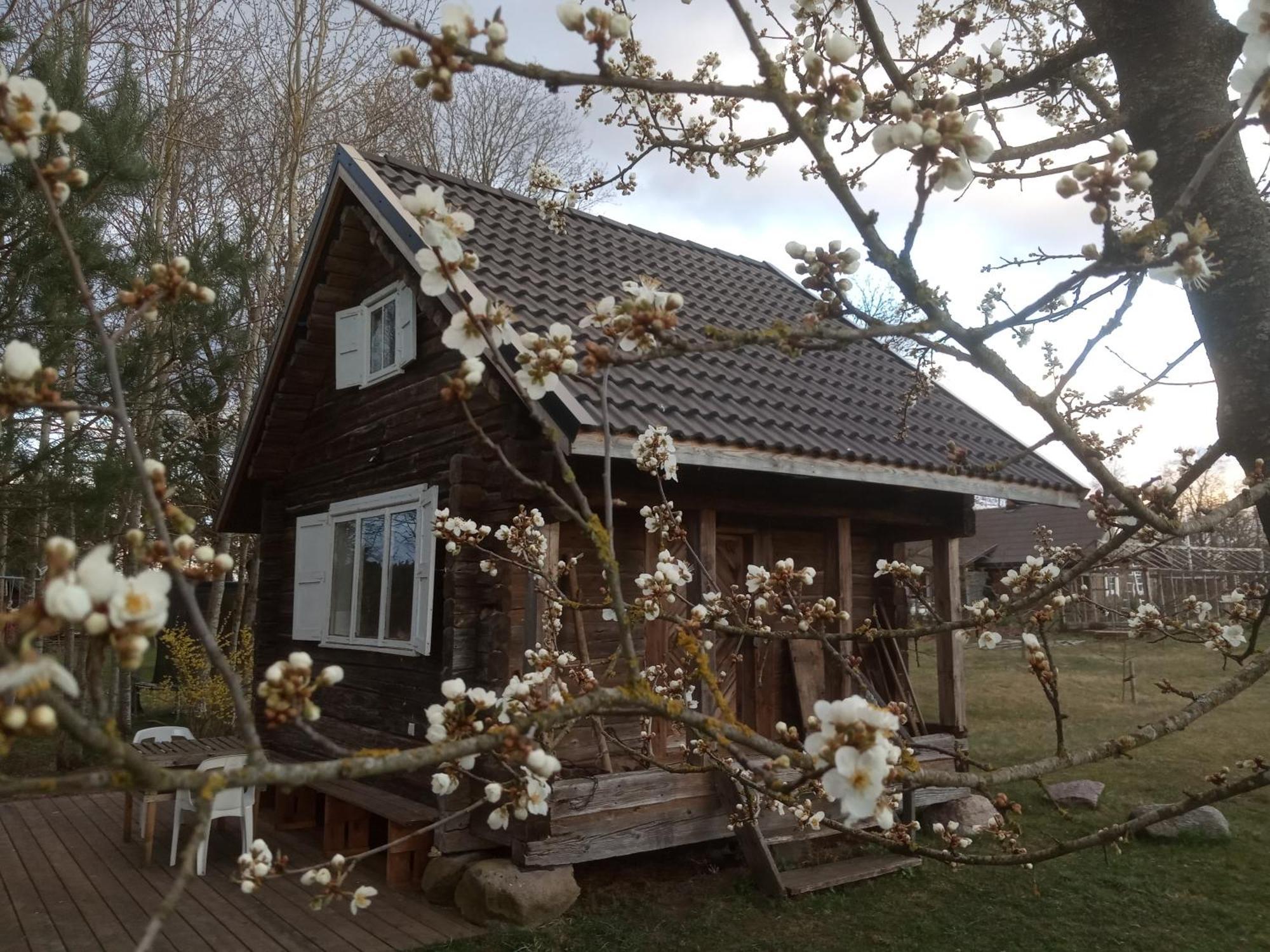 Senosios Geguzines Ukis Guest House ภายนอก รูปภาพ